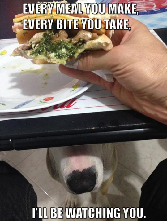 Every meal you make, every bite you take, I'll be watching you.