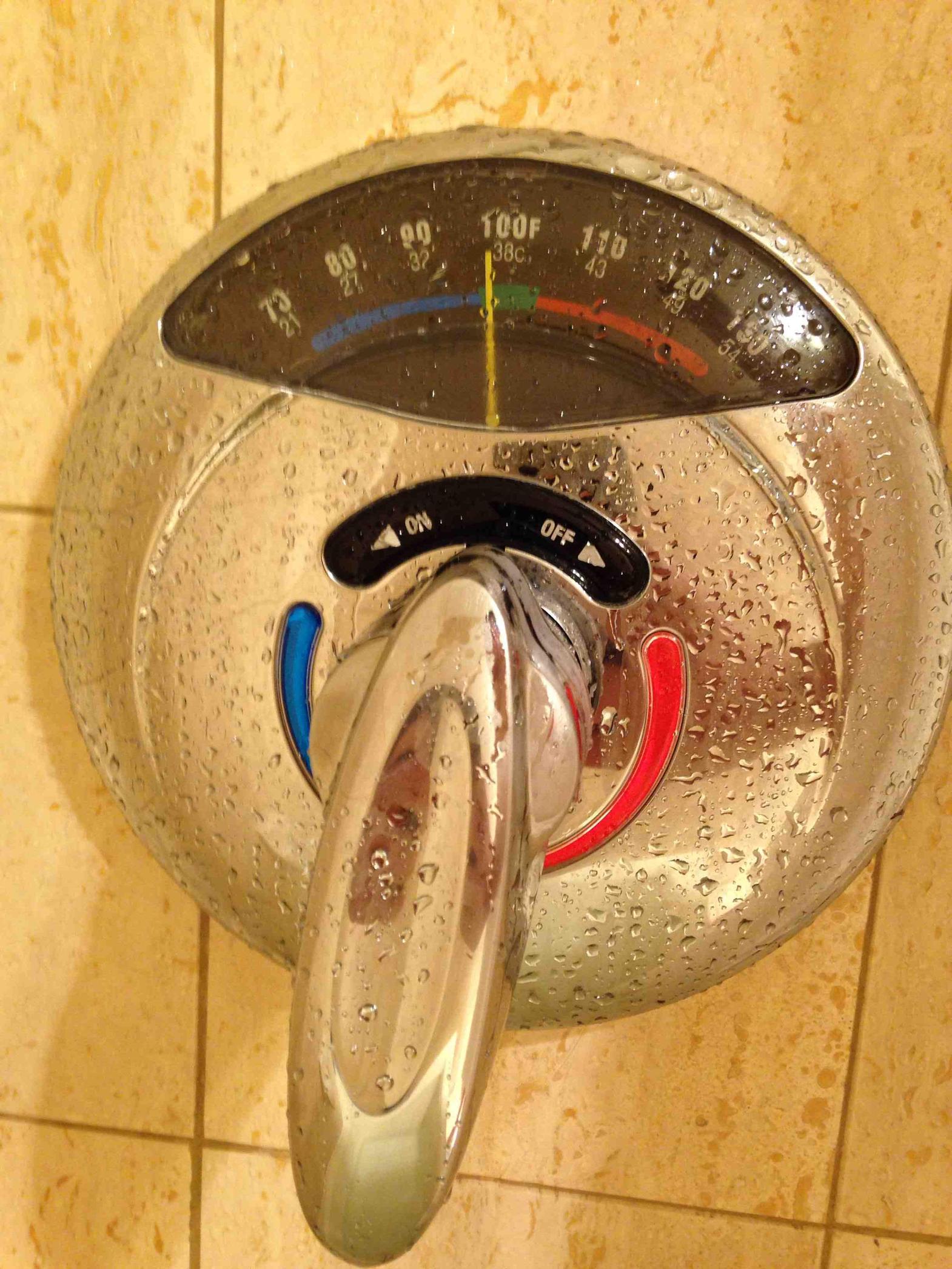 Finally A Shower With A Built In Thermometer
