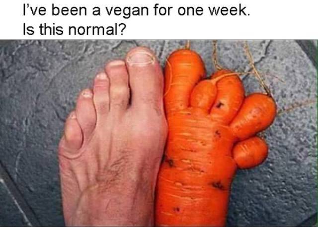 I've been a vegan for one week.