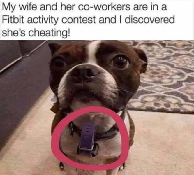 Fitbit cheater!