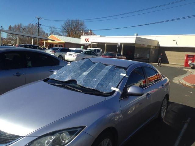 Fortunately for this driver, the DMV does not require you to pass an IQ test.