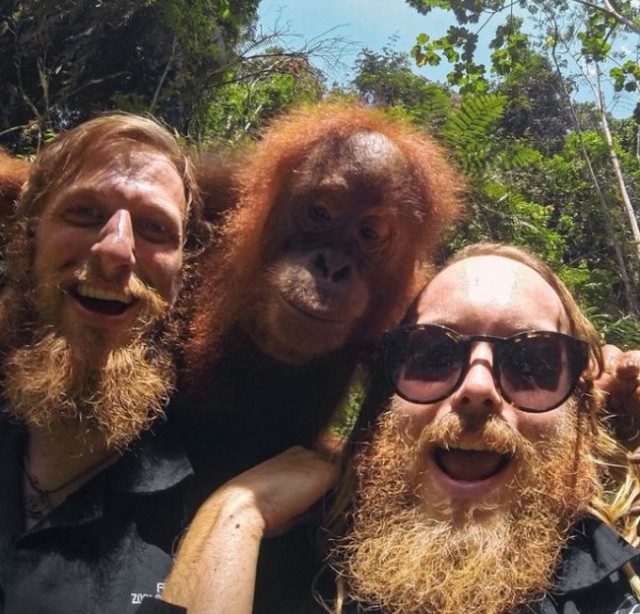 Three ginger lookalikes.