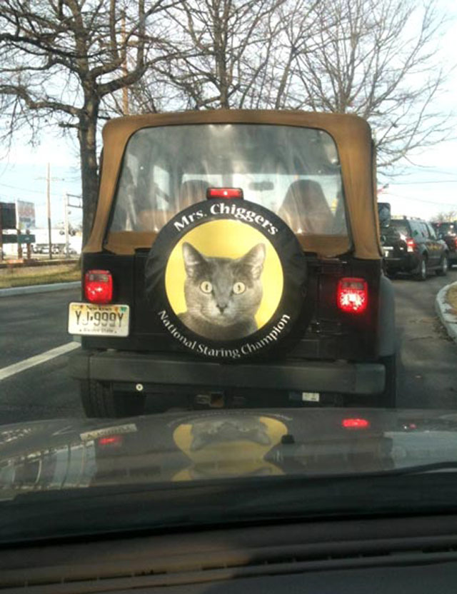 Good luck trying to beat Mrs Chiggers