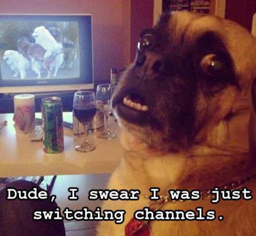 Got caught red handed and this is your excuse