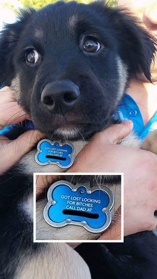 Got lost looking for bitches.