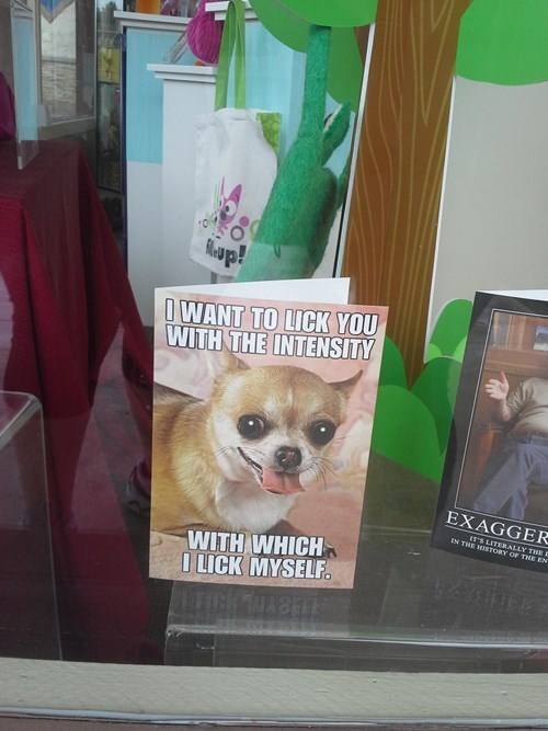 I want to lick you with the intensity with which I lick myself.