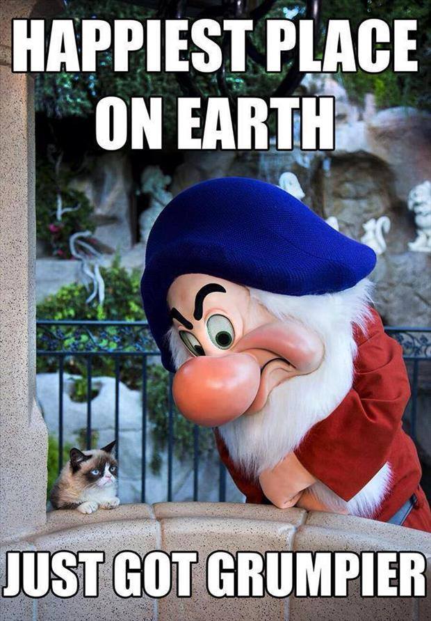 Grumpy Cat Visits Disneyland And Finally Finds Someone He Can Relate To.