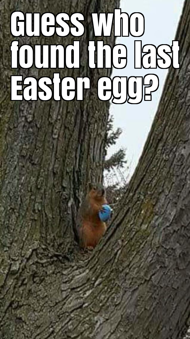 Guess who found the last Easter egg?