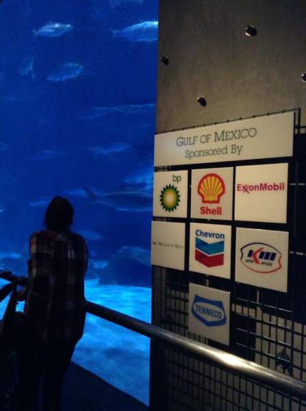 Gulf of Mexico exhibit at the Audubon Aquarium of the Americas in New Orleans.