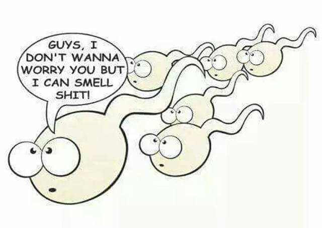 Guys, I don't wanna worry you, but I can smell shit.