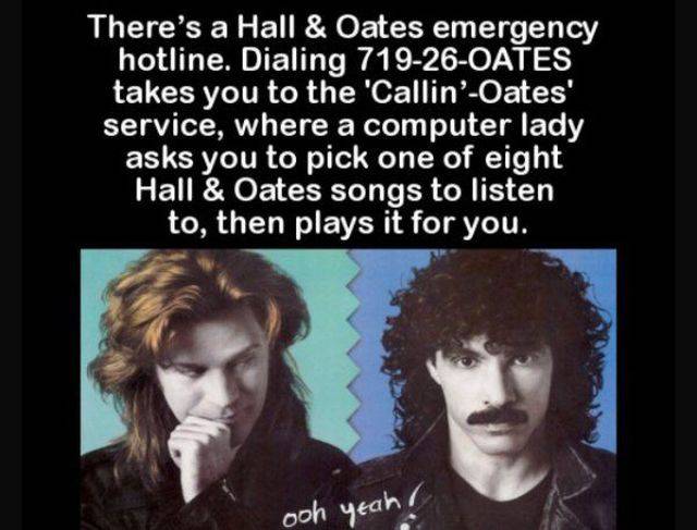 Hall & Oates emergency hotline.