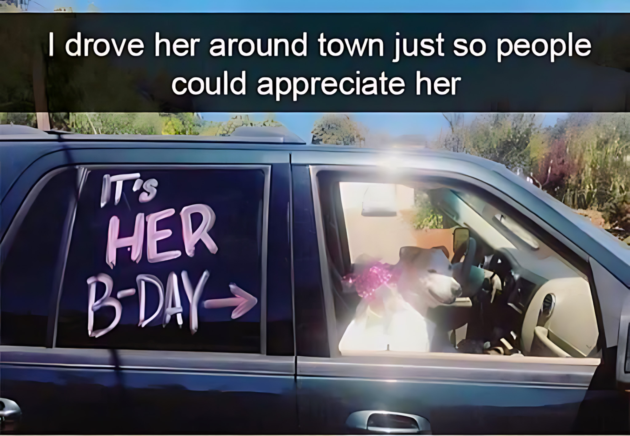 Happy Birthday to the good girl.