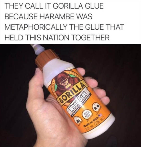 Harambe glue.