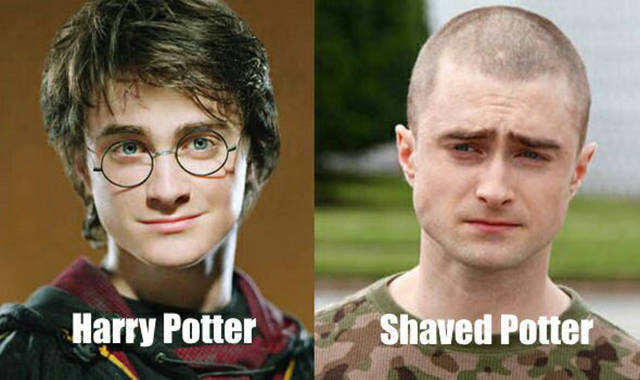 Harry Potter vs. Shaved Potter