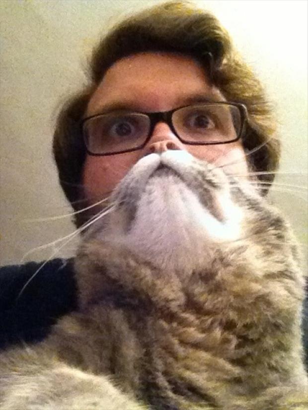 Have You Ever Tried Doing A Cat Beard With Your Favorite Feline?