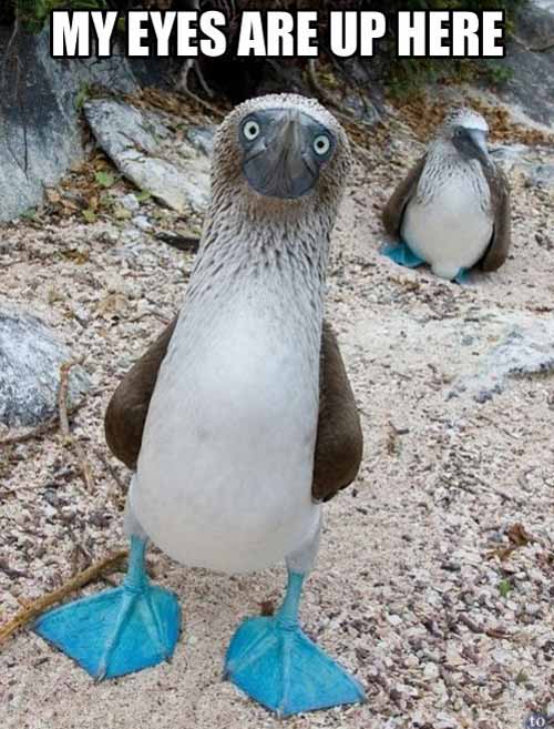 He is a bit self conscious about his feet