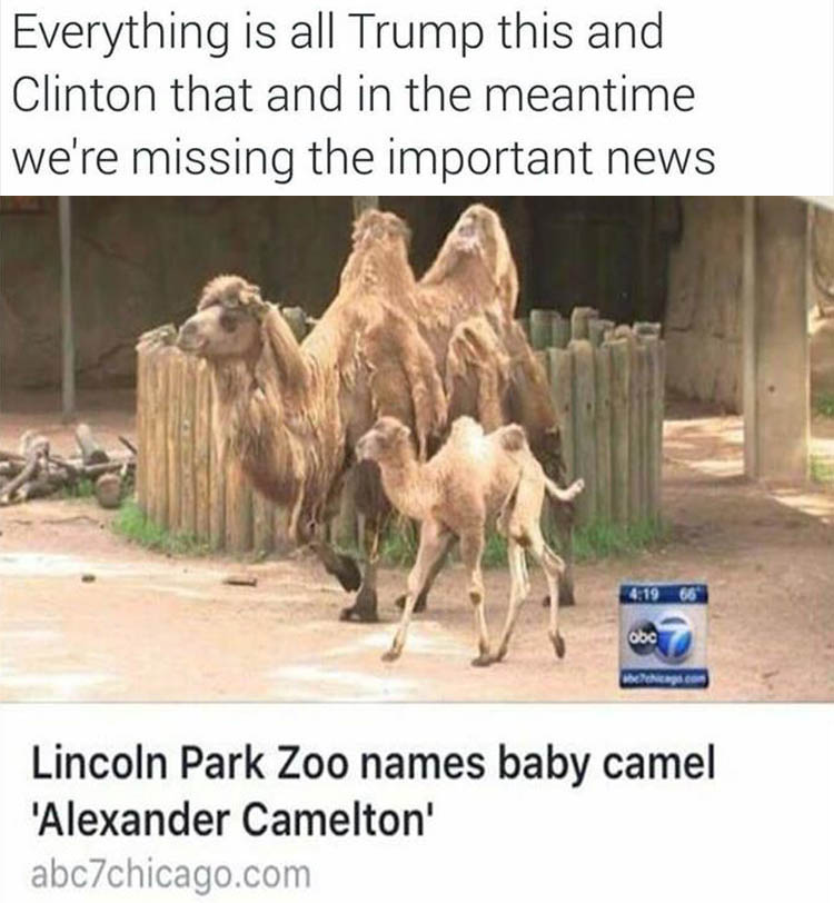 Hillary Clinton and Donald Trump are a destraction from the important news.