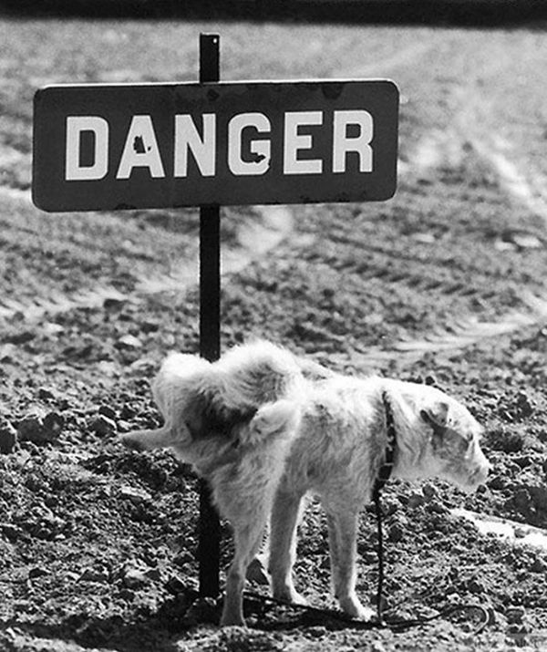 His middle name is 'Danger'.