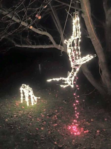 How a hunter decorates his house using Christmas lights.