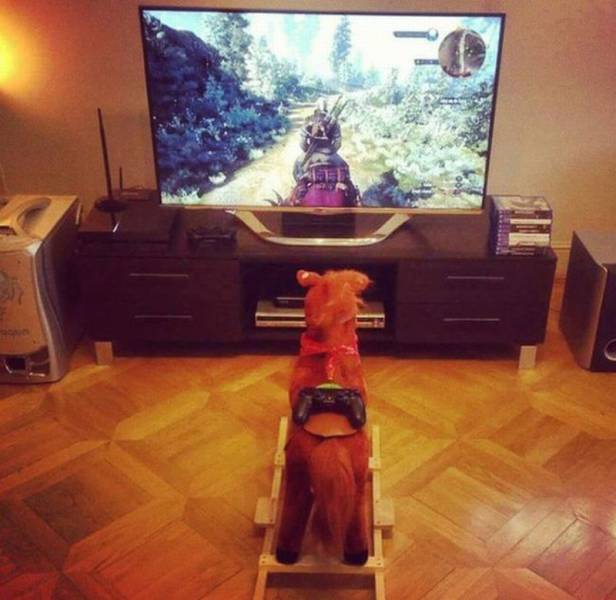 How to make your video game experience much more realistic.