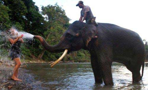 How to take a shower in Africa