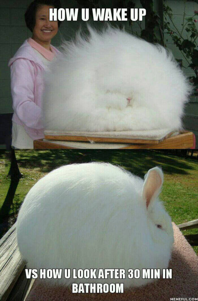 How you wake up vs. How you look after 30 minutes in the bathroom.