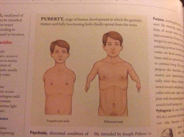 I don't remember this stage of puberty.