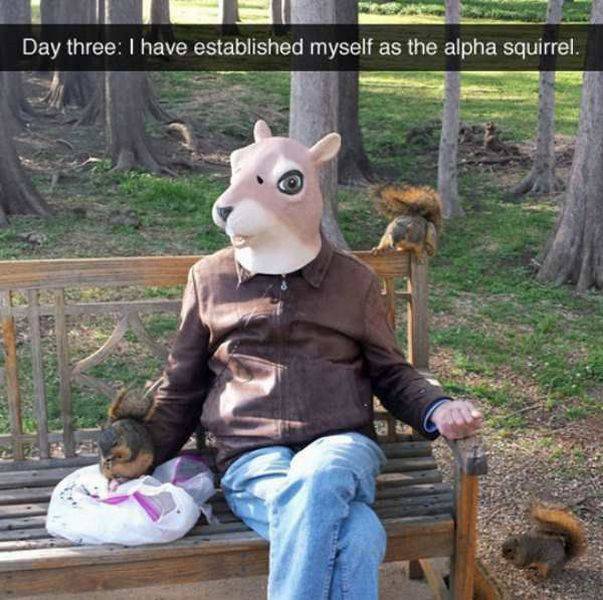 I have established myself as the alpha squirrel.