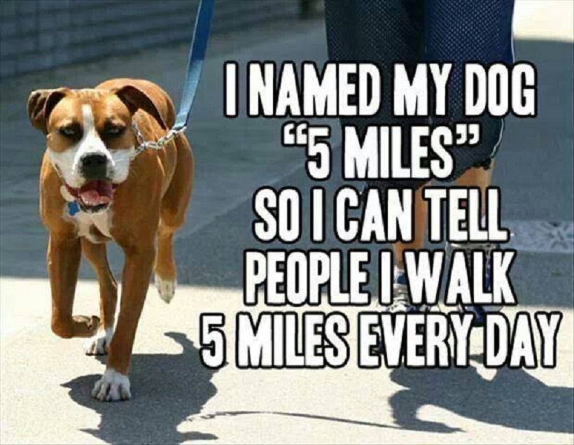 I named my dog '5 miles'.
