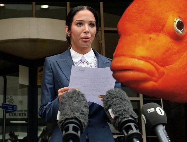 I Think The Fish May Have Had Some Work Done