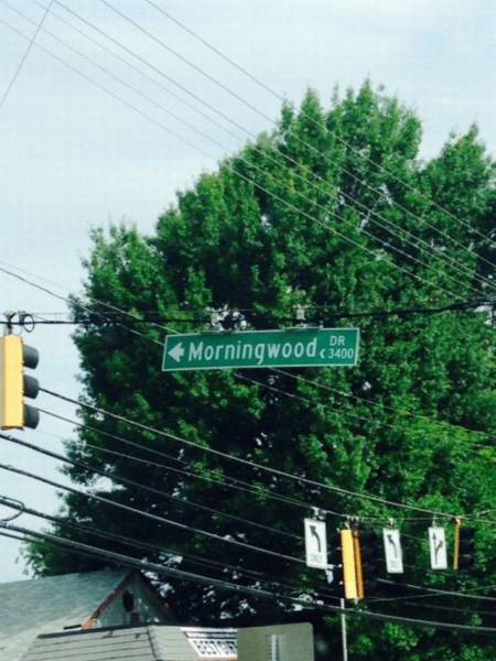 Can you please give me directions to Morningwood?