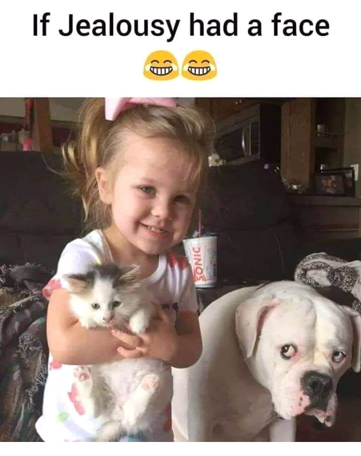 If jealousy had a face.