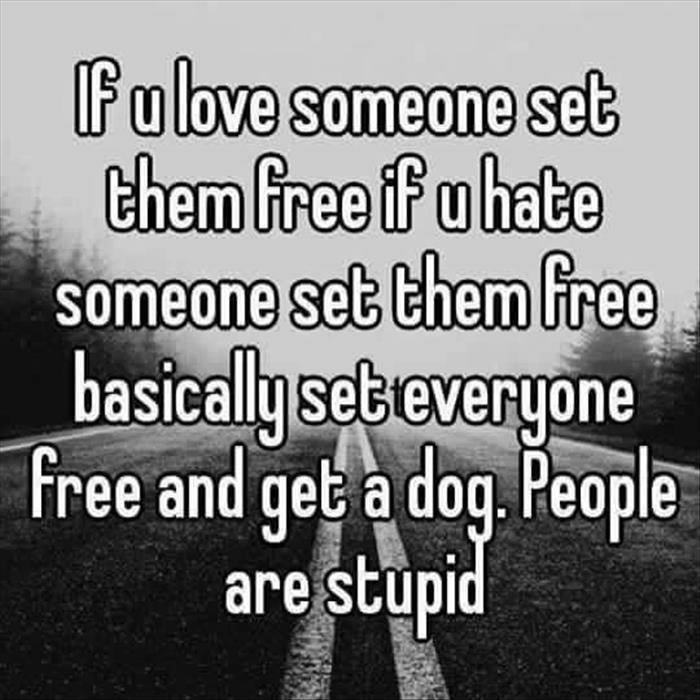 If you love someone set them free...