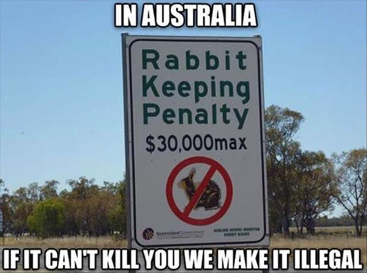 In Australia, if it can't kill you, we make it illegal.