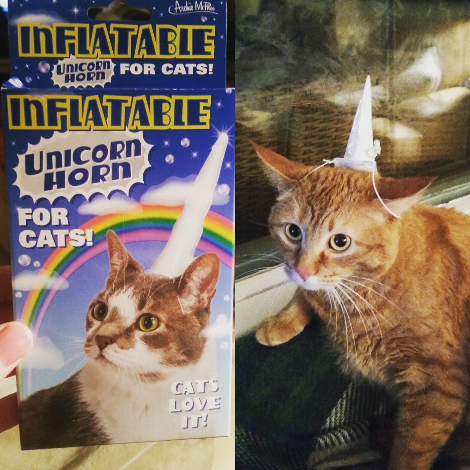 Inflatable unicorn horn for cats. This cat really seems to love it, just like the package says.