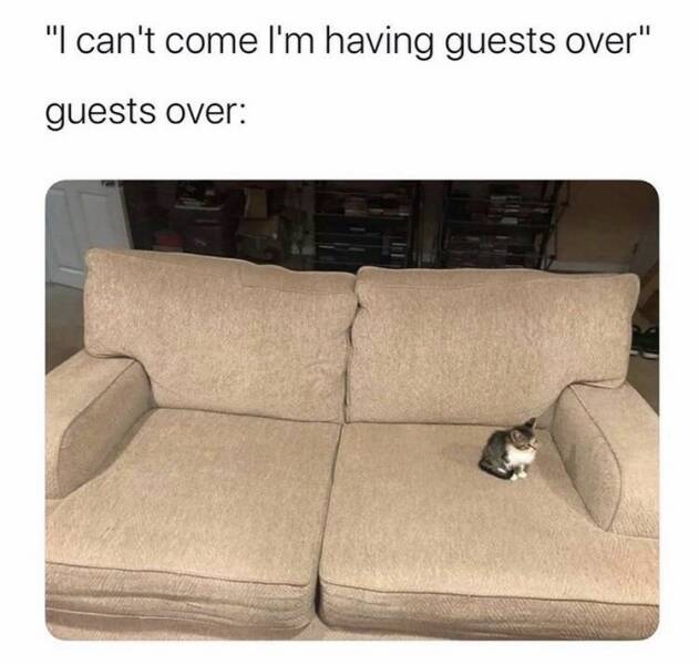 Inviting very important guests over.