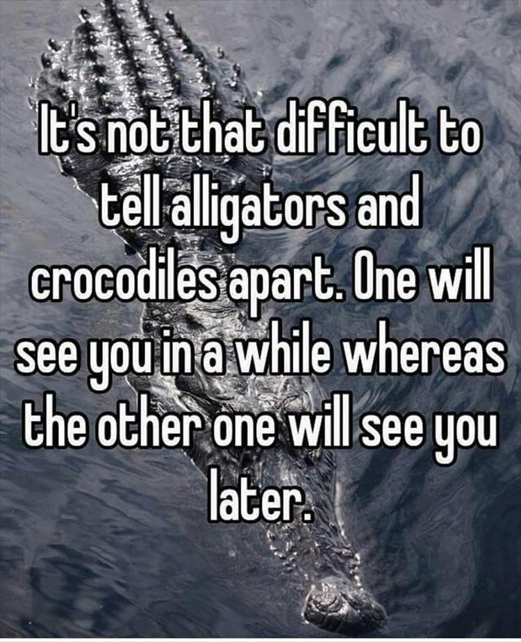 It's not that difficult to tell alligators and crocodiles apart.