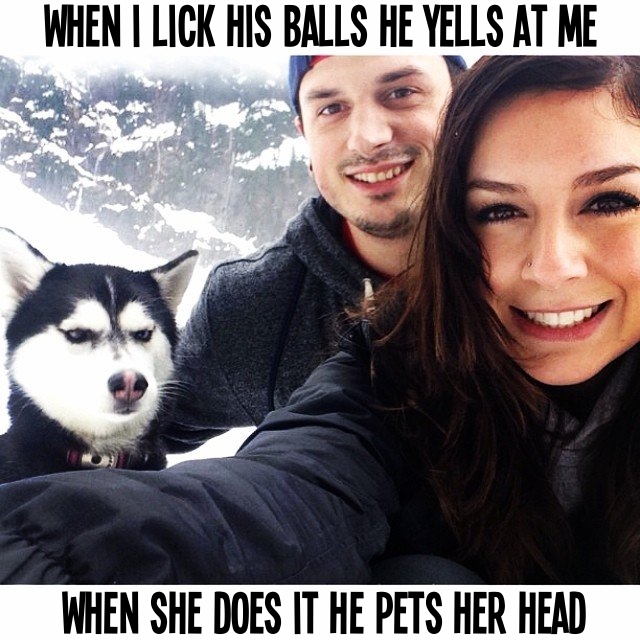 Jealous dog is upset about the ball licking.