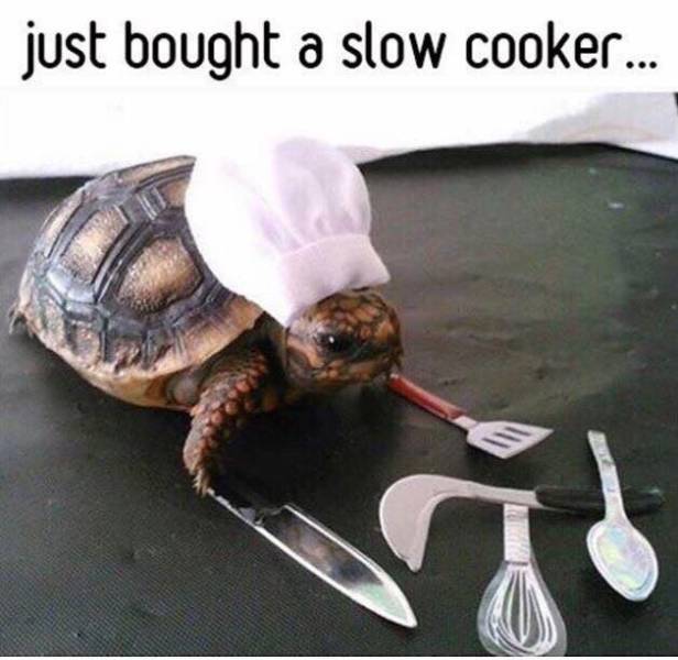 Just bought a slow cooker.
