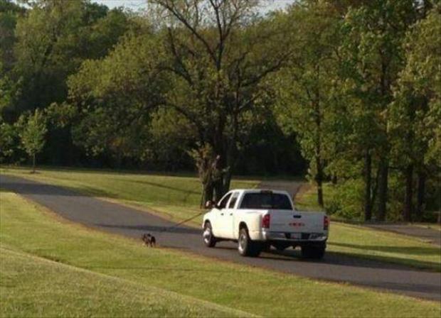 Just out taking the dog for a walk