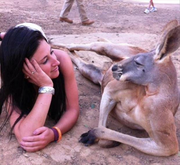 Kangaroo And A Pretty Woman. It's Not Weird At All.