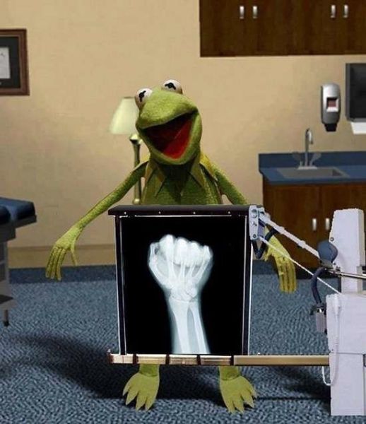 Kermit the Frog finally found out what has been causing him pain all these years.