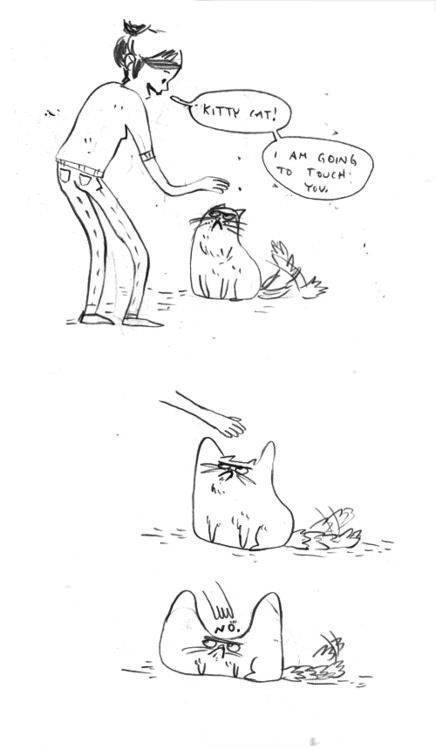 Kitty cat! I am going to touch you.