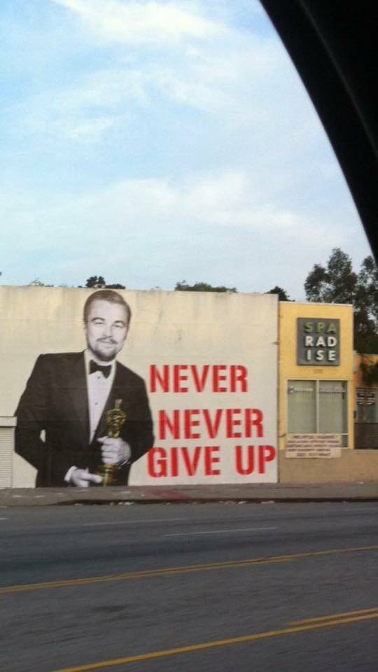 Leonardo DiCaprio reminds you to, never never give up.