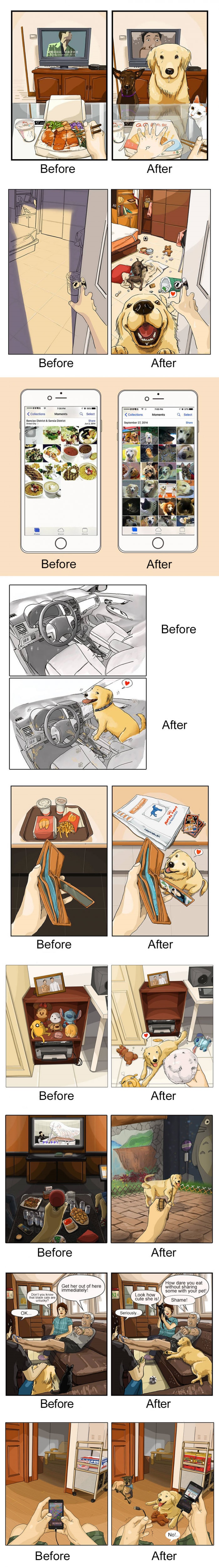 Without pets, life can be boring.