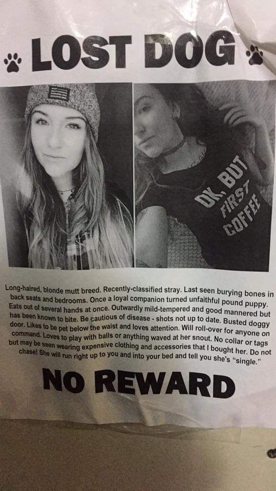 Lost Dog. Long-haired blonde mutt, shots not up to date, loves to play with balls. No Reward.