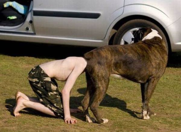 Man And His Dog Enjoying A Nice Sunny Day