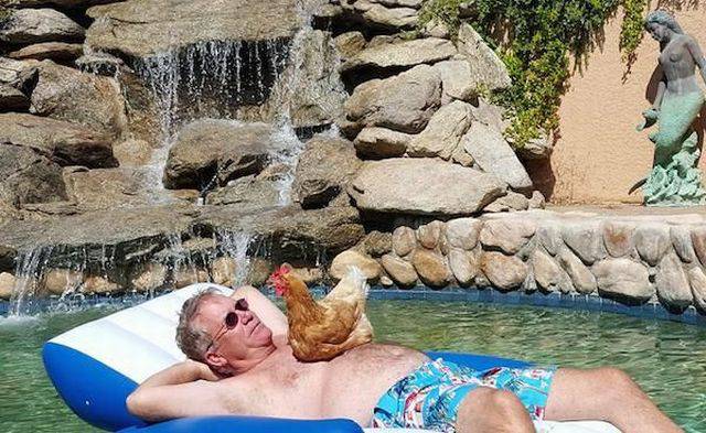 Man chillin' in the pool with his cock out.