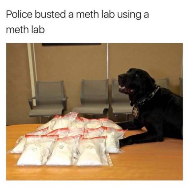 Meth lab bust.