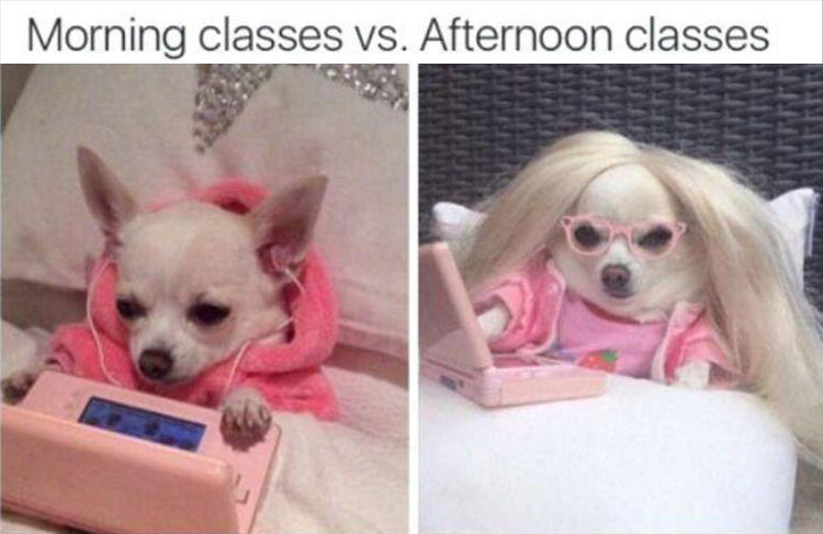 Morning classes vs. Afternoon classes